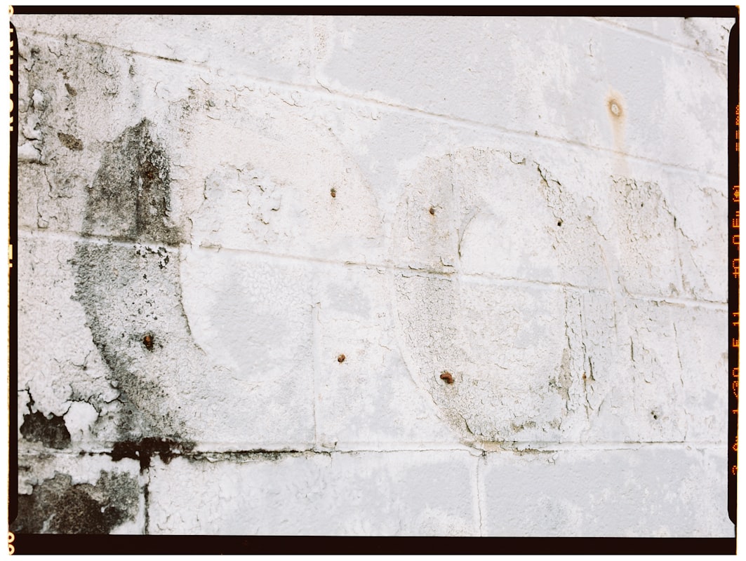 Water Extraction service in Bronx, NY